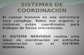SISTEMAS DE COORDINACIÓN