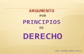 ARGUMENTO POR PRINCIPIOS DE  DERECHO MTRO. GERARDO DEHESA DÁVILA