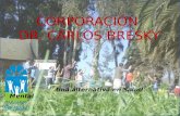CORPORACIÓN  DR. CARLOS BRESKY Una alternativa en Salud Mental