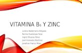 VITAMINA B 6  Y ZINC