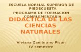 ESCUELA NORMAL SUPERIOR DE PIEDECUESTA PROGRAMA DE FORMACION COMPLEMENTARIA Viviana Zambrano Picón