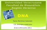 Universidad Veracruzana  Facultad de Bioanálisis  Región Veracruz