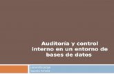 Auditoría y control interno en un entorno de bases de datos
