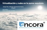 Virtualizaci ón y nub e en la pyme española