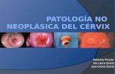 Patología no  Neoplásica  del Cérvix