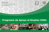 Programa de Apoyo al Empleo ( PAE )