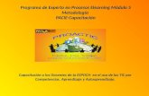 Programa de Experto en Procesos Elearning Módulo 5 Metodología  PACIE-Capacitación
