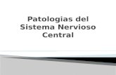 Patologias  del Sistema Nervioso Central