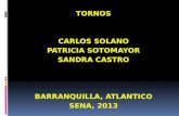 TORNOS CARLOS SOLANO PATRICIA SOTOMAYOR SANDRA CASTRO BARRANQUILLA, ATLANTICO SENA, 2013