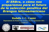 Rodolfo J. C.  Cantet Departamento de Producción Animal, Fac.de Agronomía UBA y  CONICET