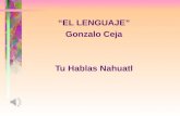 “EL LENGUAJE” Gonzalo Ceja Tu Hablas  Nahuatl