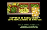 FACTORES DE PRODUCCIÓN Y COMERCIALIZACIÓN DE CÍTRICOS