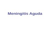 Meningitis Aguda