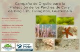 Campaña de Orgullo para la Protección de los Parches de Coral de King Fish, Livingston, Guatemala