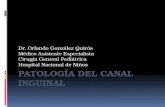 Patología del Canal Inguinal