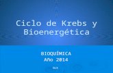 Ciclo de Krebs y Bioenergética