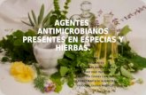 Agentes  Antimicrobianos presentes en especias y hierbas.