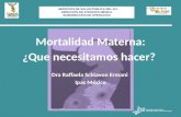 Mortalidad Materna: ¿Que  necesitamos hacer ?  Dra Raffaela Schiavon Ermani  Ipas México