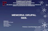 MEMORIA GRUPAL Seb.