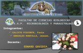 FACULTAD DE CIENCIAS BIOLOGICAS E.A.P.  MICROBIOLOGÍA Y PARASITOLOGÍA