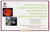 Congreso Nacional de Investigación  en Cambio Climático México, D.F. O ctubre, 2011