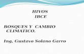 HIVOS  IBCE BOSQUES  Y  CAMBIO  CLIMATICO. Ing , Gustavo Solano Garro