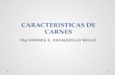 CARACTERISTICAS  DE CARNES