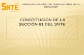 CONSTITUCIÓN DE LA SECCIÓN  61 del SNTE