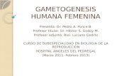 GAMETOGENESIS HUMANA FEMENINA