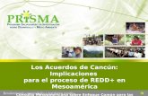 Los Acuerdos de Cancún: Implicaciones  para el proceso de REDD+ en Mesoamérica