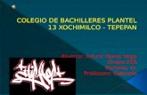 COLEGIO DE BACHILLERES PLANTEL 13 XOCHIMILCO - TEPEPAN