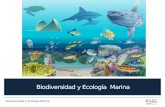 Biodiversidad y Ecología  Marina