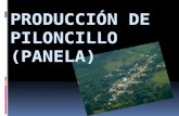 PRODUCCIÓN DE PILONCILLO (PANELA)