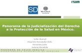 Panorama de la Judicialización del Derecho a la Protección de la Salud en México.