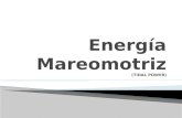 Energía Mareomotriz (TIDAL POWER)