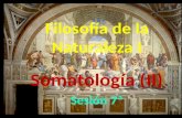 Filosofía de la Naturaleza I Somatología (II) Sesión  7ª