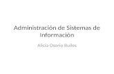 Administración de Sistemas de Información