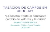 TASACION DE CAMPOS EN URUGUAY