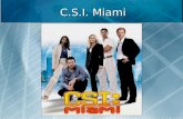 C.S.I. Miami