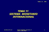 TEMA 11  SISTEMA  MONETARIO INTERNACIONAL