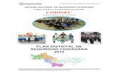Plan Distrital de Seguridad Ciudadana de Santiago de Surco