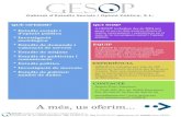 Catàleg de Serveis de GESOP