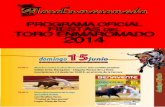 Programa Fiestas del Toro Enmaromado 2014
