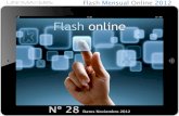 Flash Internet Online Nº28
