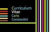 Curriculum vitae carlo constantini 2014 publico