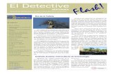 Revista Flash APDPE nº 5 - Octubre 2009