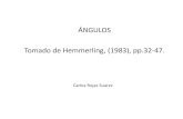 angulos (tomado Hemmerling 1983) p. 32-47