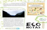 Eco Notas n. 41