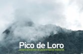 Pico de Loro, acercamiento al patrimonio natural.