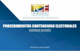 PROCEDIMIENTOS CONTENCIOSO ELECTORALES (segunda edición)
